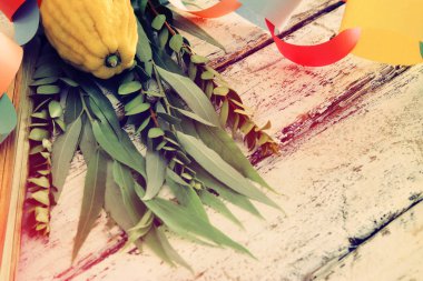 Sukkot Yahudi bayramı. Geleneksel Semboller (dört tür): Etrog, lulav, hadas, arava