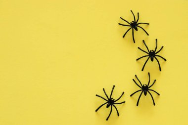 Cadılar Bayramı tatil kavramı. Sarı zemin üzerinde siyah örümcekler. Üstten görünüm, düz yatıyordu