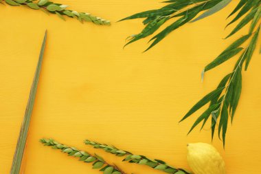 Sukkot Yahudi bayramı. Geleneksel Semboller (dört tür): Etrog, lulav, hadas, arava