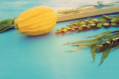 Sukkot Yahudi bayramı. Geleneksel Semboller (dört tür): Etrog, lulav, hadas, arava