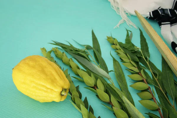 Sukkot Yahudi bayramı. Geleneksel Semboller (dört tür): Etrog, lulav, hadas, arava