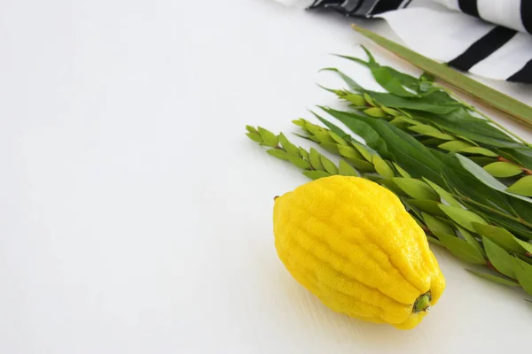 Judisk Festival Sukkot Traditionella Symboler Fyra Arterna Etrog Lulav Hadas — Stockfoto