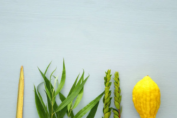 Żydowskie Święto Sukkot Tradycyjne Symbole Cztery Gatunki Etrog Lulav Hadas — Zdjęcie stockowe