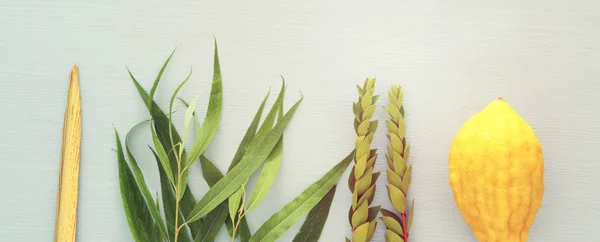 Jüdisches Sukkot Fest Traditionelle Symbole Die Vier Arten Etrog Lulav — Stockfoto