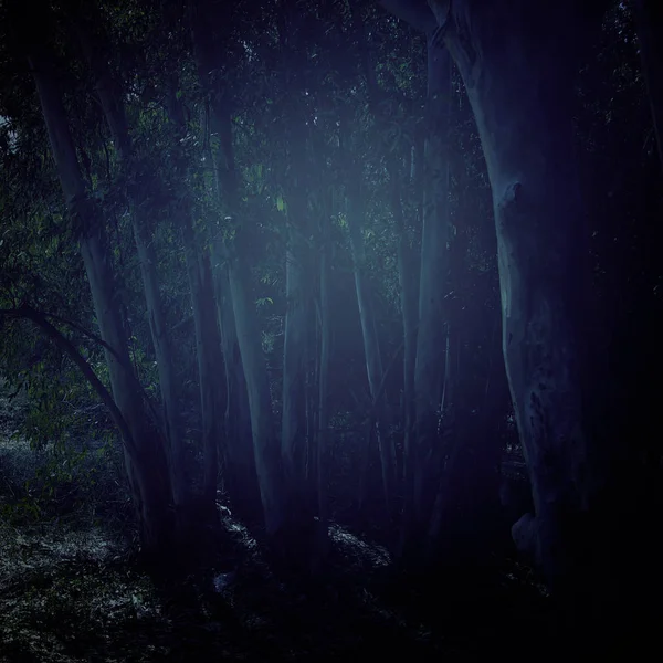 暗いとお化けの森の神秘的な背景 — ストック写真