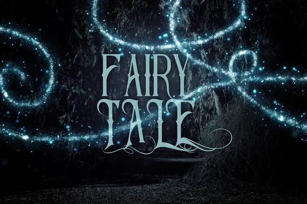 mysterious fairy tale background of dark and haunted forest and magical lights with text