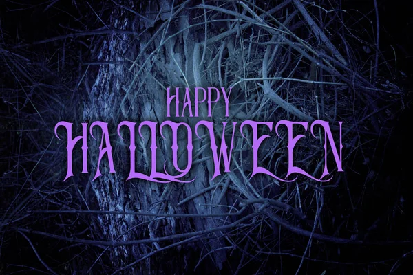Halloween Geheimnisvoller Hintergrund Von Dunklem Und Gespenstischem Wald Mit Text — Stockfoto