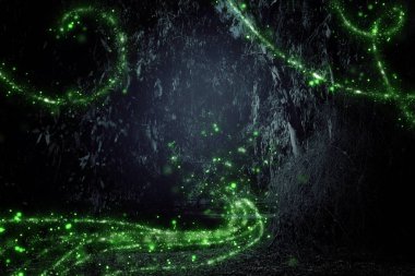 Firefly 'ın gece ormanında uçuşunun soyut ve büyülü görüntüsü. Peri masalı kavramı