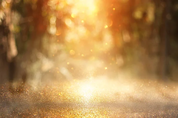 나무들 사이에서 희미하고 추상적 황금빛의 — 스톡 사진
