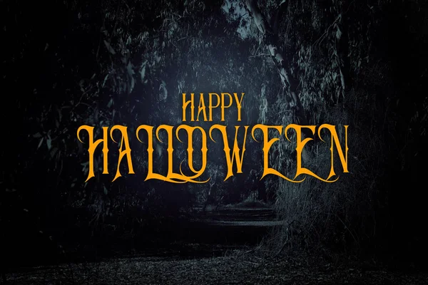 Halloween Misterioso Fondo Bosque Oscuro Embrujado Con Texto —  Fotos de Stock