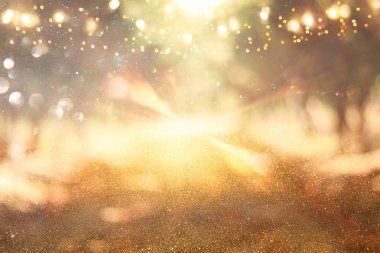 Ağaçlar arasında ışık patlaması ve parlak altın bokeh ışıklarının bulanık fotoğrafı.