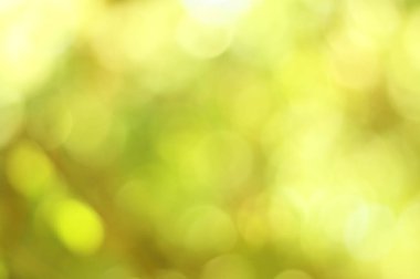 Odak arka plan ışığı dışında yeşil bokeh