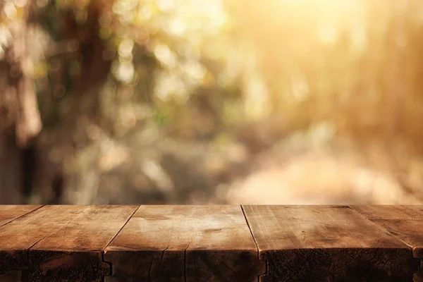 フロントの素朴な木製ボードと背景の森のイメージ — ストック写真