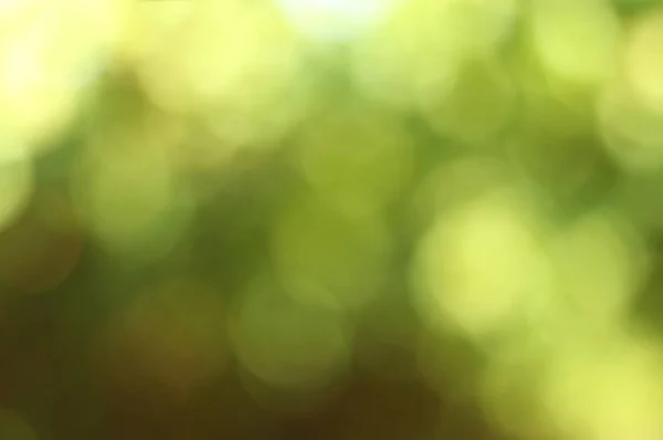Green Bokeh Out Focus Background Lights — Stock Photo, Image