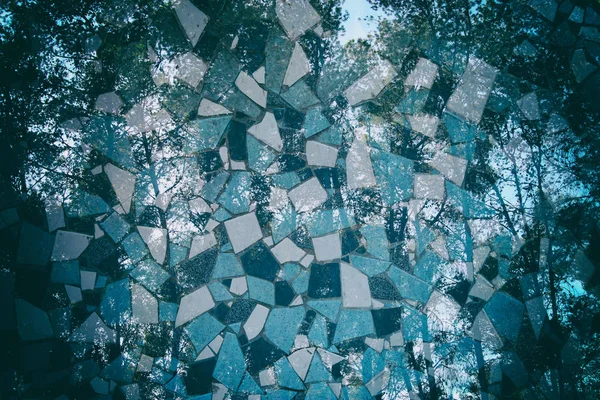 Doble Exposición Imagen Abstracta Los Árboles Bosque Mosaicos —  Fotos de Stock