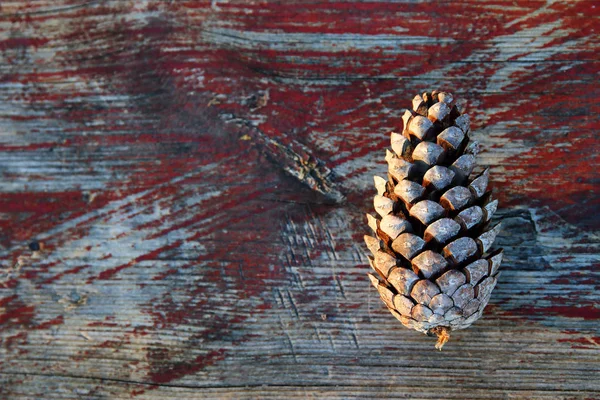 Top View Pine Cone Rustic Wooden Background — Stock Photo, Image