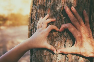 Yaşlı kadın ve bir çocuk makind kalp şekli ile el ele tutusun ormanda bir yürüyüş yoluyla görüntü