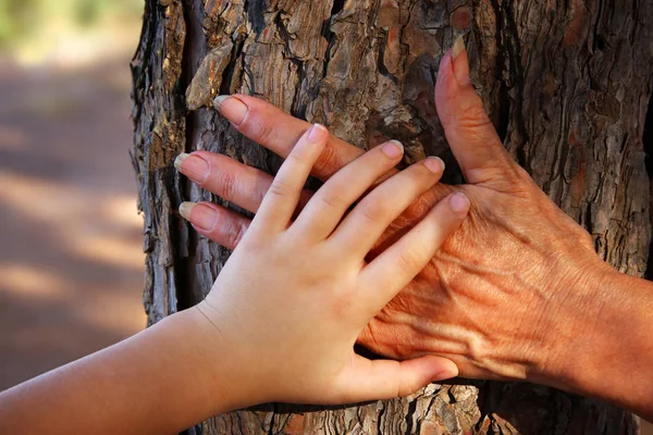 Image Old Woman Kid Holding Hands Together Walk Forest — Stock Photo, Image