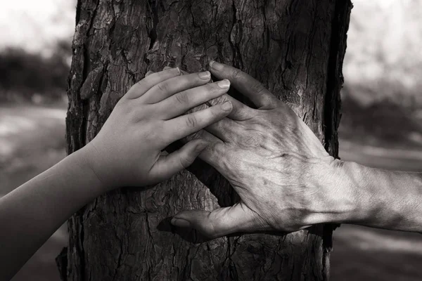 Obrázek Staré Žena Dítě Drží Ruce Společně Prostřednictvím Procházku Lese — Stock fotografie