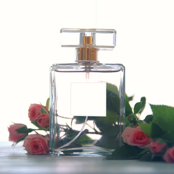 Imagem de uma elegante garrafa de perfume. foto de luz traseira — Fotografia de Stock