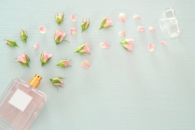 Üstten görünüm görüntüsü parfüm şişesi gül yaprakları çiçek üzerinde pastel mavi arka plan ile. Çiçek kokusu kavramı