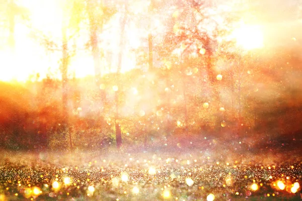 Rozmazané Abstraktní Fotografie Světla Praskla Mezi Stromy Třpytí Zlaté Bokeh — Stock fotografie