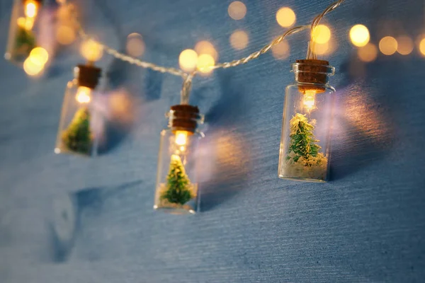 关闭圣诞树的图像在马尾松罐子花环光在木蓝色的背景 — 图库照片