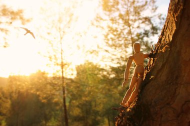 Vizyon ve farklı düşünme kavramı. dört gözle ağaç tepe üstünde tahta kukla ayakta