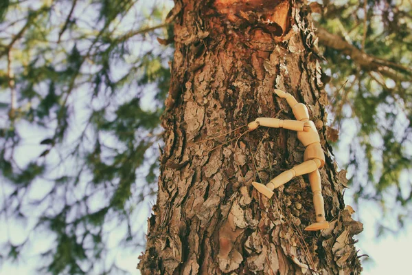 Pojęcie Wizji Inne Myślenie Drewniany Manekin Siedzi Górze Szczyt Drzewa — Zdjęcie stockowe