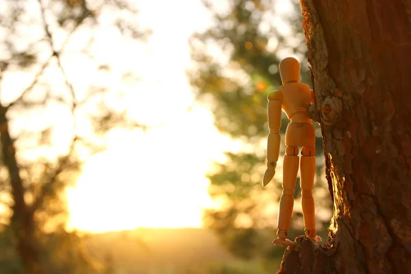 Concept Vision Different Thinking Wooden Dummy Standing Top Tree Peak — Stock Photo, Image