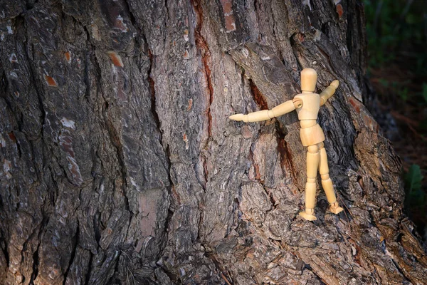 Boneco Madeira Abraçando Uma Árvore Foto Conceito Pensar Diferente Mudar — Fotografia de Stock