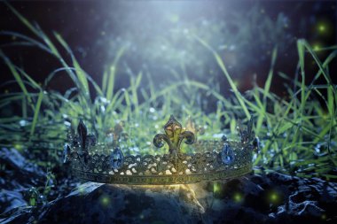 gizemli ve büyülü fotoğraf Kral taç İngiltere woods veya alan manzara ışık parlama ile taş üzerinde. Ortaçağ Dönemi kavramı