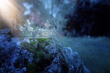 gizemli ve büyülü fotoğraf Gümüş Kral taç İngiltere woods veya alan yatay ışık parlama ile yosun kaplı taş üzerinde. Ortaçağ Dönemi kavramı