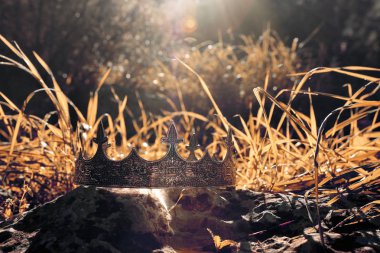 gizemli ve büyülü fotoğraf Gümüş Kral taç İngiltere woods veya alan manzara ışık parlama ile taş üzerinde. Ortaçağ Dönemi kavramı