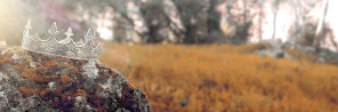 gizemli ve büyülü fotoğraf Gümüş Kral taç İngiltere woods veya alan yatay ışık parlama ile yosun kaplı taş üzerinde. Ortaçağ Dönemi kavramı