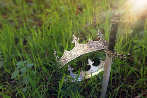 銀の不思議と魔法写真王の王冠およびイギリスの森の中で剣やフィールドに光フレアのある風景 中世期間の概念 — ストック写真