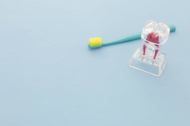 Diş diş fırçası modeli klinikte bakım ve diş. Ahşap mavi arka plan