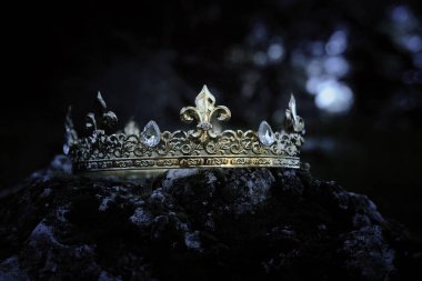 gizemli ve büyülü fotoğraf altın Kral taç İngiltere woods veya alan yatay ışık parlama ile yosun kaplı taş üzerinde. Ortaçağ Dönemi kavramı