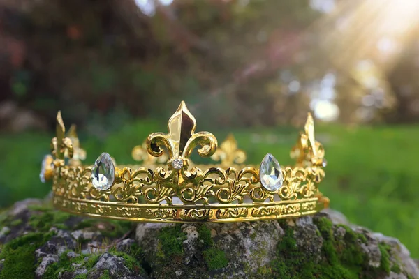 Tajemnicze Magiczne Zdjęcie Króla Złota Korona Nad Kamienia Pokryte Mchem — Zdjęcie stockowe