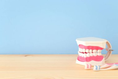 Diş hekimi ve klinik modelde plastik diş diş bakımı araçlarını kullanın. Ahşap mavi arka plan.