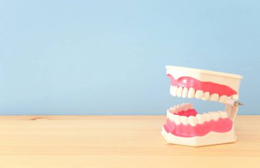 Diş hekimi ve klinik modelde plastik diş diş bakımı araçlarını kullanın. Ahşap mavi arka plan