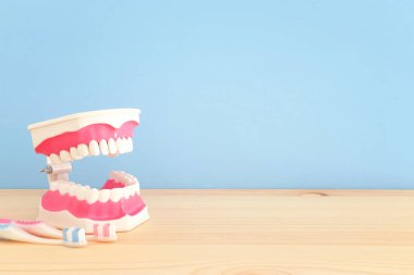 Diş hekimi ve klinik modelde plastik diş diş bakımı araçlarını kullanın. Ahşap mavi arka plan