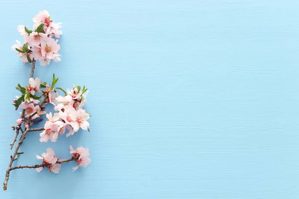 Photo Spring White Cherry Blossom Tree Blue Wooden Background View — Stock Photo, Image