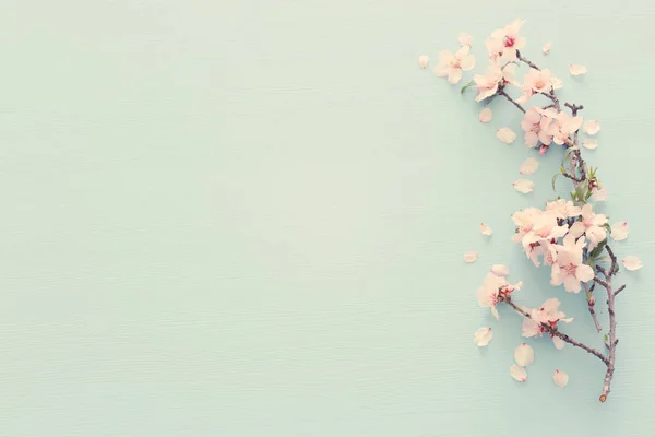 Zdjęcia Drzewo Biały Kwiat Wiosna Podłoże Drewniane Niebieski Pastelowy Góry — Zdjęcie stockowe