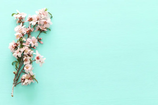 Foto Foråret Hvide Kirsebær Blomstre Træ Pastel Mynte Træ Baggrund - Stock-foto