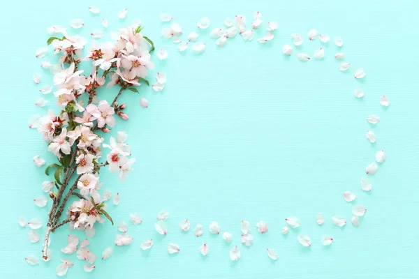 Pastel Nane Ahşap Arka Plan Ağaç Bahar Beyaz Kiraz Çiçeği — Stok fotoğraf