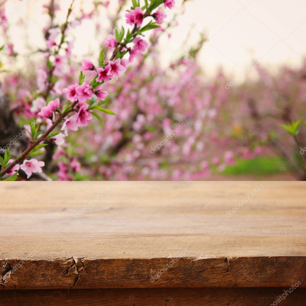 wooden table in front of spring blossom tree landscape