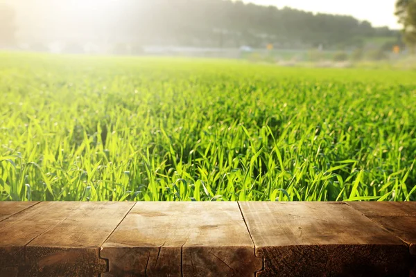 Photo Front Rustic Wooden Table Background Forest — Stock Photo, Image