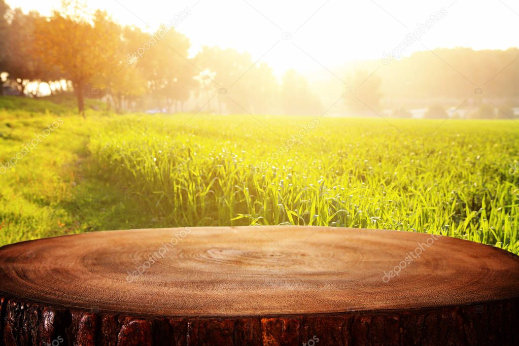 photo of front rustic wooden table and background forest