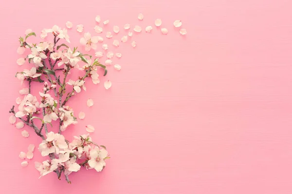 Фото весняного білого вишневого цвіту на пастельному рожевому дерев'яному фоні. Вид зверху, плоский ліжко — стокове фото